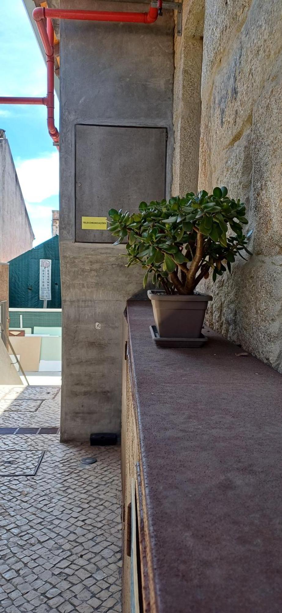 Typical Loft Oporto Downtown Apartment Bagian luar foto